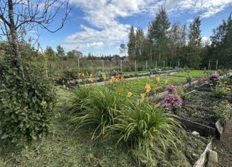 Участок на продажу, 5 сот., Новгородская область
