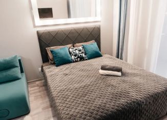 Сдается в аренду квартира студия, 30 м2, Пермь, улица Малкова, 12, Дзержинский район