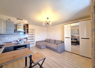 Продажа квартиры студии, 27.4 м2, Ижевск, Планерная улица, 1, Ленинский район