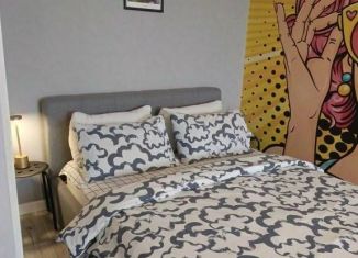 Сдается в аренду 1-ком. квартира, 20 м2, Камышин, 7-й микрорайон, 25