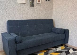 Аренда двухкомнатной квартиры, 42 м2, Иркутск, улица Лермонтова, 67, Свердловский округ