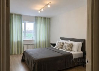 Сдается в аренду 1-комнатная квартира, 74 м2, Ярославль, Кучерской переулок, 5, Ленинский район