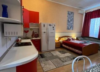 Аренда квартиры студии, 30 м2, Омск, улица Профинтерна, 10, Кировский округ