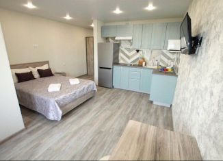 Сдается в аренду 1-комнатная квартира, 26 м2, Республика Башкортостан, улица Шафиева, 3