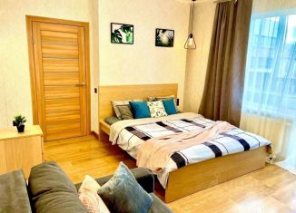 1-ком. квартира в аренду, 38 м2, Пермь, улица Окулова, 29, Ленинский район