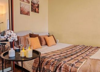 1-ком. квартира в аренду, 40 м2, Саратовская область, Тихая улица, 55