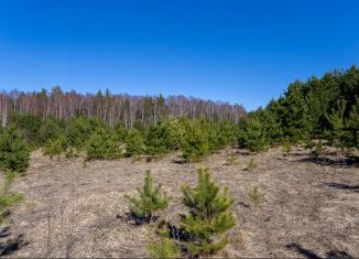 Продается участок, 13.97 сот., село Чамерево, Дачная улица