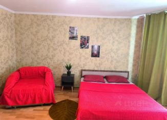 1-комнатная квартира в аренду, 38 м2, Новокузнецк, улица Рокоссовского, 19