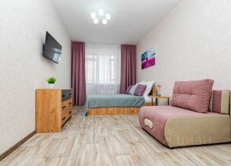 Сдается однокомнатная квартира, 36 м2, Пермь, улица Карбышева, 47А, Орджоникидзевский район