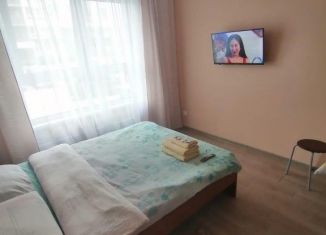 Сдается в аренду 1-комнатная квартира, 20 м2, Барнаул, улица Солнечная Поляна, 94к5, Индустриальный район