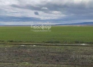 Продам земельный участок, 1591 сот., Крым, улица Ленина