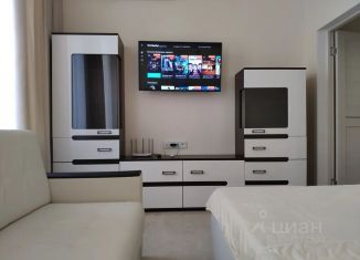 Сдается в аренду 1-комнатная квартира, 30 м2, Крым, улица Дёмышева, 4