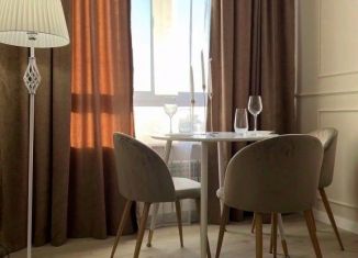 Сдача в аренду 1-комнатной квартиры, 30 м2, Республика Башкортостан, Кустарная улица, 19