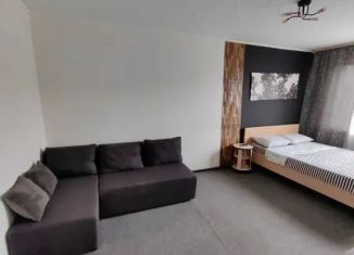 Сдается 1-ком. квартира, 30 м2, Заринск, проспект Строителей, 13/3