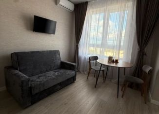 Сдам в аренду квартиру студию, 28 м2, Брянск, Бежицкая улица, 21Б
