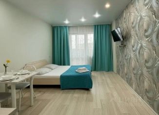 Аренда 1-ком. квартиры, 30 м2, Барнаул, проспект Строителей, 18, Железнодорожный район