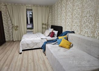 Однокомнатная квартира в аренду, 57 м2, Александров, улица Жулёва, 3
