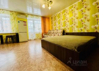 Сдача в аренду 1-ком. квартиры, 30 м2, Республика Башкортостан, улица Комарова, 31