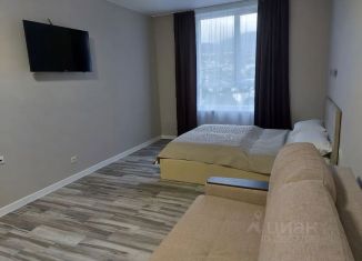 Сдам в аренду квартиру студию, 38 м2, Крым, улица Блюхера, 19
