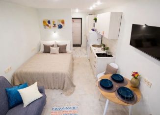 Сдам в аренду квартиру студию, 20 м2, Иркутск, Донская улица, 7, Октябрьский округ