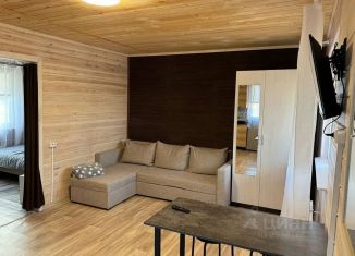 Дом в аренду, 40 м2, Крым, Ореховый бульвар, 6