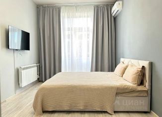 Аренда 1-комнатной квартиры, 34 м2, Кемерово, Советский проспект, 34
