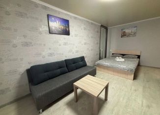 Аренда 1-комнатной квартиры, 32 м2, Тульская область, улица Болдина, 1