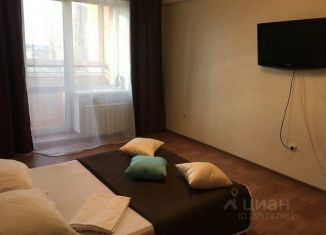 Сдается 1-комнатная квартира, 70 м2, Иркутск, улица Карла Либкнехта, 112