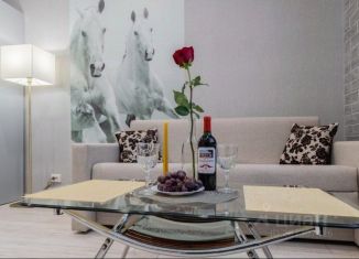 Сдается в аренду 1-комнатная квартира, 20 м2, Мурманск, переулок Русанова, 5