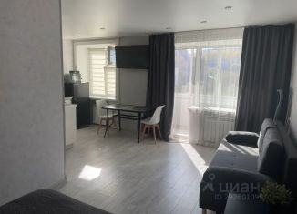 Сдается в аренду квартира студия, 36 м2, поселок городского типа Шерегеш, улица Гагарина, 8
