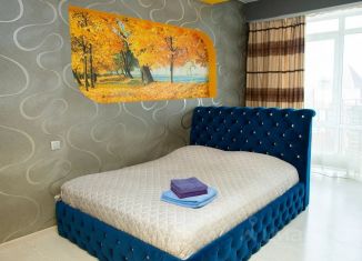 Аренда 1-комнатной квартиры, 42 м2, Иркутск, улица Коммунаров, 14/1, ЖК Театральный Квартал