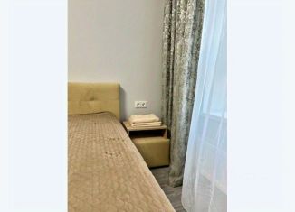 Аренда двухкомнатной квартиры, 55 м2, Барнаул, Пролетарская улица, 151к2, Центральный район