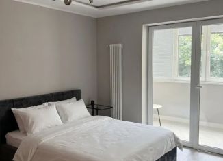 Сдача в аренду 1-ком. квартиры, 46 м2, Воронеж, улица Короленко, 5, Центральный район