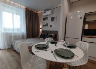 Сдам в аренду квартиру студию, 40 м2, Самара, улица Победы, 3Б, метро Спортивная