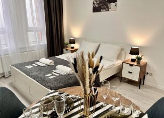 Сдам 1-ком. квартиру, 23 м2, Калуга, улица 65 лет Победы, 6