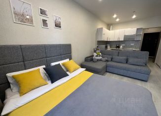 Сдаю в аренду 1-комнатную квартиру, 42 м2, Иркутск, проезд Юрия Тена, 12