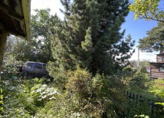 Продажа дома, 24 м2, Алтайский край, СНТ Дружба, 48/3