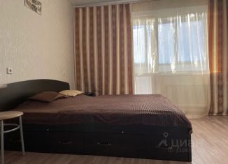 Квартира в аренду студия, 29 м2, Челябинская область, улица Доватора, 1