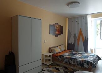 Сдам в аренду 1-комнатную квартиру, 25 м2, Воронеж, Ленинский проспект, 8Д, Левобережный район