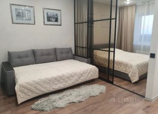 Квартира в аренду студия, 40 м2, Самара, метро Советская, Ставропольская улица, 51А