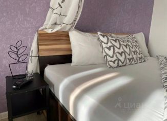 Сдам в аренду 1-ком. квартиру, 30 м2, Омск, 4-я Поселковая улица, 26к1, Советский округ