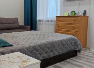 Сдается в аренду однокомнатная квартира, 35 м2, Североморск, улица Сивко, 13