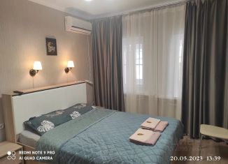 Сдаю 1-комнатную квартиру, 30 м2, Пятигорск, проспект Кирова, 31
