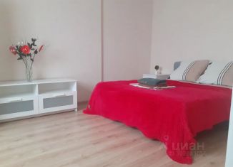 Сдаю квартиру студию, 63 м2, Старый Оскол, микрорайон Центральный, 1/1