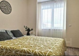 Сдается в аренду двухкомнатная квартира, 38 м2, Пермь, Сапфирная улица, 13, Мотовилихинский район