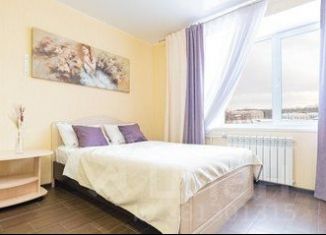 Сдача в аренду однокомнатной квартиры, 25 м2, Томск, улица Савиных, 4А