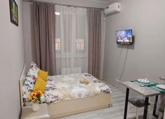 Аренда квартиры студии, 24 м2, Уфа, улица Шафиева, 44/1, Октябрьский район