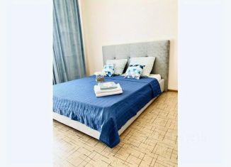 Сдается в аренду 1-ком. квартира, 40 м2, Алтайский край, Партизанская улица, 55