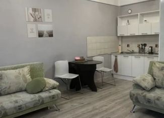 Квартира в аренду студия, 42 м2, Иркутск, улица Омулевского, 20, Октябрьский округ
