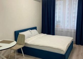 Сдается квартира студия, 24 м2, Уфа, Ленинский район, улица Аксакова, 81